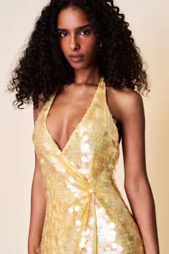 Besora Sequin Dress